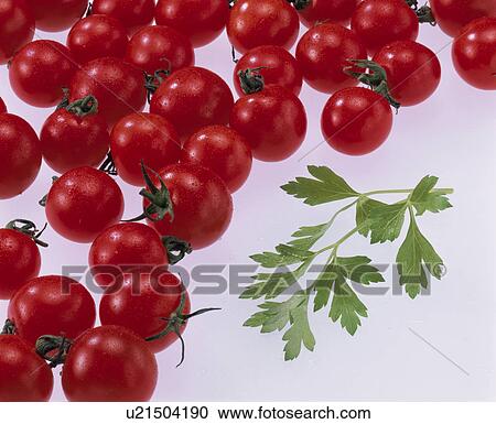 An Italian Parsley, Cherry Tomato View Large Photo Image Stock Image - An Italian Parsley, Cherry Tomato. Fotosearch