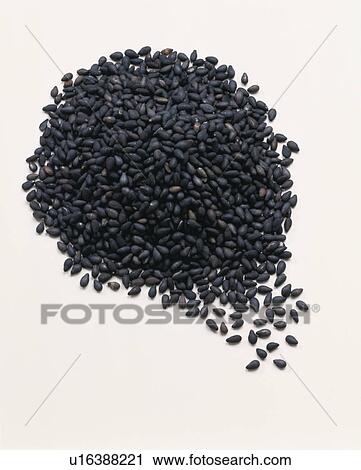 Black Sesame View Large Photo Image Stock Image - Black Sesame. Fotosearch