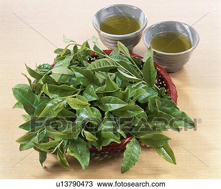 Stock Image - Green Tea Leaf. Fotosearch