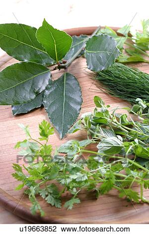 Herb View Large Photo Image Stock Image - Herb. Fotosearch