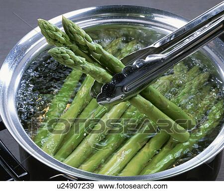Asparagus View Large Photo Image Stock Photo - Asparagus. Fotosearch