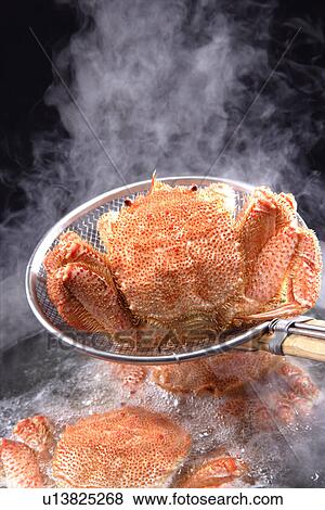 Stock Photo - Hairy Crab. Fotosearch
