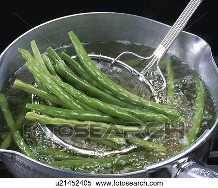 Stock Photography - Kidney Bean. Fotosearch