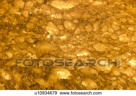 Stock Photo - backgrounds, alfred, background, back light, aliment, against-the-light shot. Fotosearch