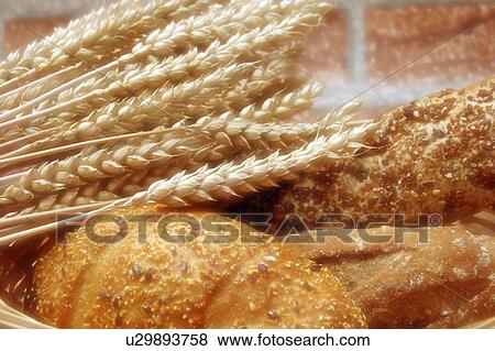 bricks, baked, bread, bio, barrier, cerium as, aliment View Large Photo Image Stock Photo - bricks, baked, bread, bio, barrier, cerium as, aliment. Fotosearch