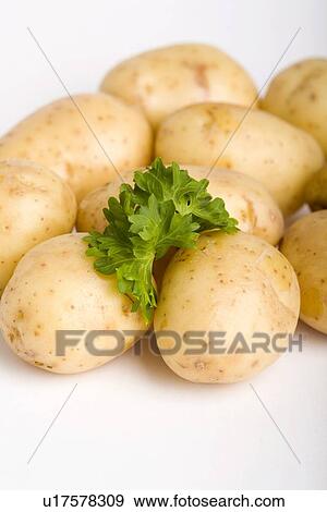 Stock Photo - chip, baked, carbohydrate, brown, boiling, cook, agriculture. Fotosearch