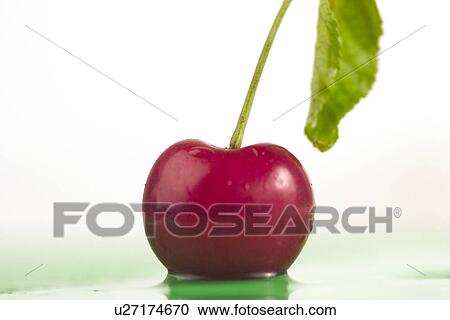 cherry, drink, close-up, CLOSE, alfred View Large Photo Image Stock Image - cherry, drink, close-up, CLOSE, alfred. Fotosearch