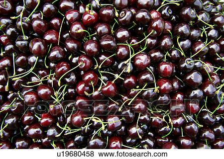 drink, background, close-up, CLOSE, cherry, alfred View Large Photo Image Stock Photo - drink, background, close-up, CLOSE, cherry, alfred. Fotosearch