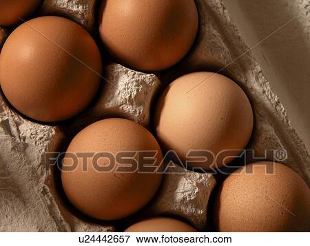 Austria, cardboard, brown, beige, alfred View Large Photo Image Stock Photo - Austria, cardboard, brown, beige, alfred. Fotosearch