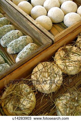 cheese, CLOSE, close-up, drink, eat, food View Large Photo Image Stock Image - cheese, CLOSE, close-up, drink, eat, food. Fotosearch