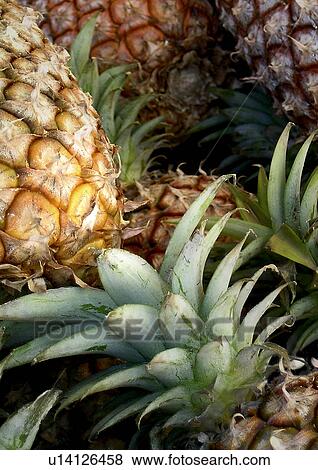 Stock Photo - CLOSE, close-up, drink, eat, eating, food. Fotosearch