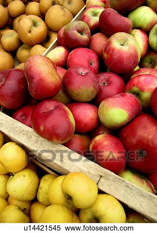 food, CLOSE, eat, drink, close-up, apple View Large Photo Image Stock Photography - food, CLOSE, eat, drink, close-up, apple. Fotosearch