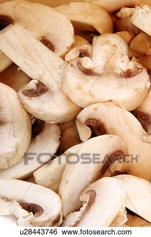 Stock Photograph - alfred, brown, beige, Austria, agaricus. Fotosearch