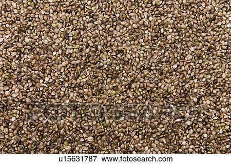 Stock Photo - alternative, agriculture, aliment, alfred, agroindustry, alternativenergie. Fotosearch