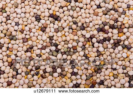 background, agroindustry, alternative cultivation, aliment, alfred, agriculture View Large Photo Image Stock Image - background, agroindustry, alternative cultivation, aliment, alfred, agriculture. Fotosearch