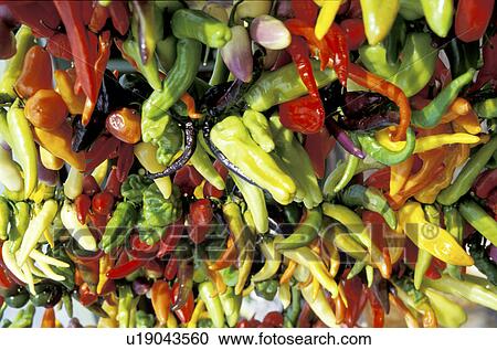 background, capsicum, CLOSE, close-up, colored, colourful, day View Large Photo Image Stock Image - background, capsicum, CLOSE, close-up, colored, colourful, day. Fotosearch