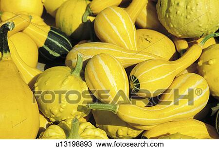 Stock Image - background, CLOSE, close-up, cucurbita, day, drink. Fotosearch