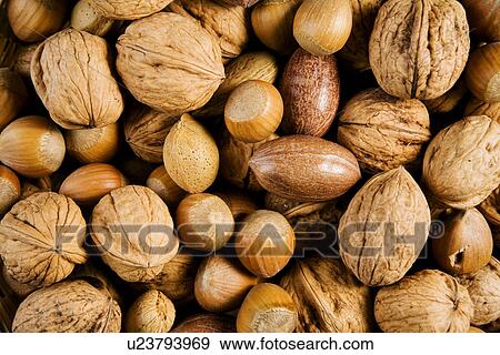 bowl, aliment, backgrounds, background, almonds, alfred View Large Photo Image Stock Photo - bowl, aliment, backgrounds, background, almonds, alfred. Fotosearch
