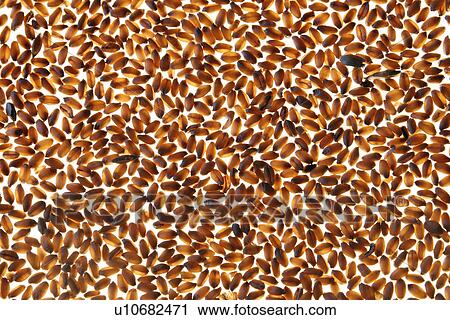 CLOSE, background, cereal, brown, beige, alfred View Large Photo Image Stock Image - CLOSE, background, cereal, brown, beige, alfred. Fotosearch