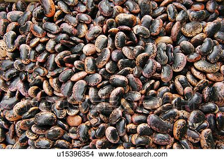 Picture - close-up, background, CLOSE, black, bean, alfred. Fotosearch
