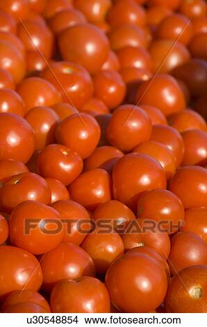 Picture - colored, background, closeup, close-up, bunch, agriculture. Fotosearch