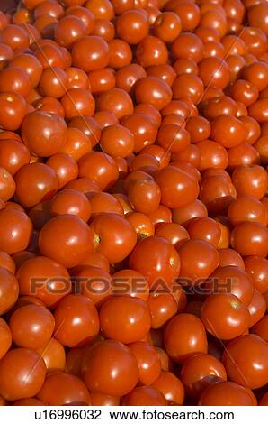 Stock Image - colored, background, closeup, close-up, bunch, agriculture. Fotosearch