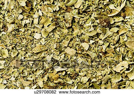 dried, aliment, compactum, backgrounds, background, alfred View Large Photo Image Stock Image - dried, aliment, compactum, backgrounds, background, alfred. Fotosearch