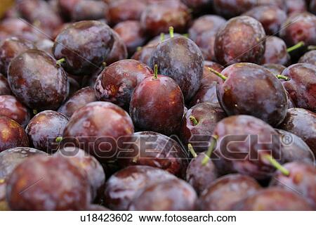 Stock Image - eat, background, drink, close-up, CLOSE, alfred. Fotosearch