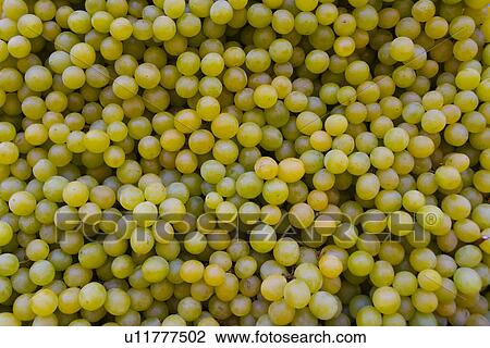 Stock Image - food, aliment, eat, backgrounds, background, alfred. Fotosearch