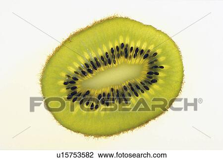 alexander, cellar, blauphoton, beauty, actinidia View Large Photo Image Stock Image - alexander, cellar, blauphoton, beauty, actinidia. Fotosearch