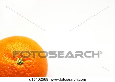 background, burkhard, CLOSE, close-up View Large Photo Image Stock Photo - background, burkhard, CLOSE, close-up. Fotosearch