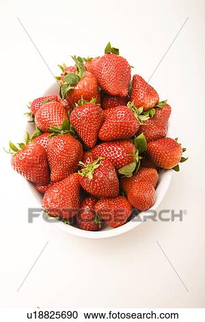 beauty, berry, biological, blue, close, close-up, closeup View Large Photo Image Stock Image - beauty, berry, biological, blue, close, close-up, closeup. Fotosearch