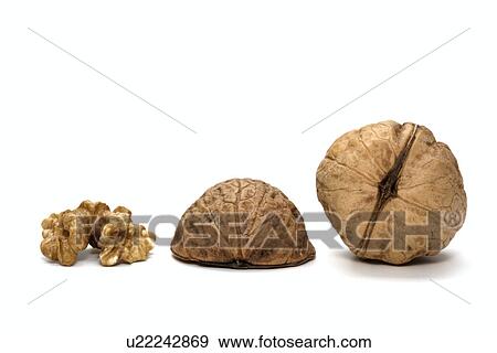 Stock Photo - bowl, brown, core, flat fruit, food, fruit, germany. Fotosearch