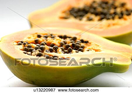 burkhard, CLOSE, close-up, cross, cross-section View Large Photo Image Stock Photo - burkhard, CLOSE, close-up, cross, cross-section. Fotosearch
