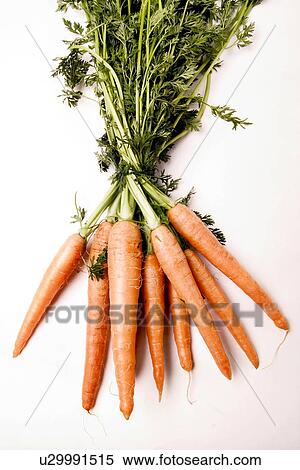 carrot, drink, alfred View Large Photo Image Stock Photography - carrot, drink, alfred. Fotosearch