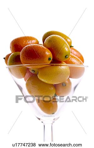 Stock Photo - CLOSE, close-up, alfred. Fotosearch