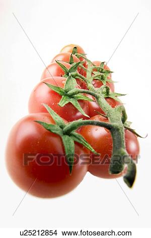 Picture - CLOSE, eat, drink, close-up, alfred. Fotosearch