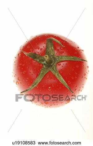 Stock Image - reifen, ueber, reif, freigestellt, tau, aliment, allemagne. Fotosearch