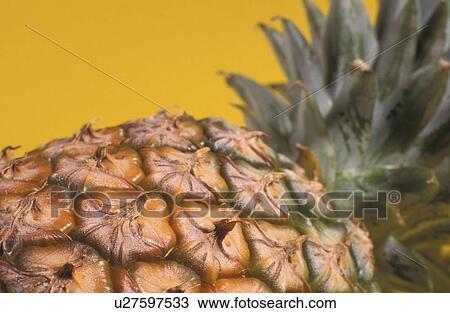 Stock Image - beauty, CLOSE, cellar, blauphoton, alexander. Fotosearch