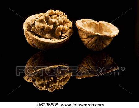 Stock Photography - eat, aliment, calm, bowls, bowl, alfred. Fotosearch