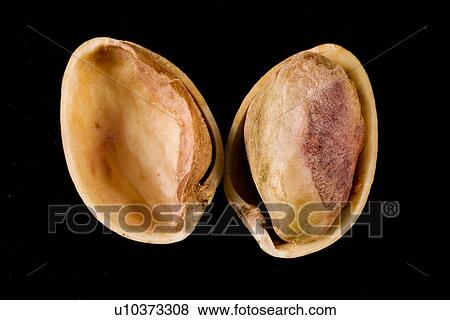 Stock Photo - freigestellt, alfred, aliment, bowl, close-up, eat. Fotosearch
