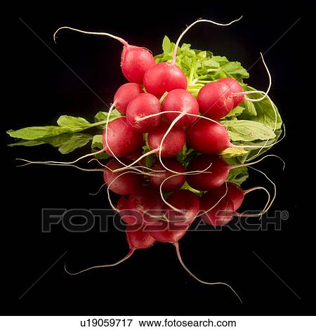 Stock Photo - frsh, aliment, fresh, food, eat, alfred. Fotosearch