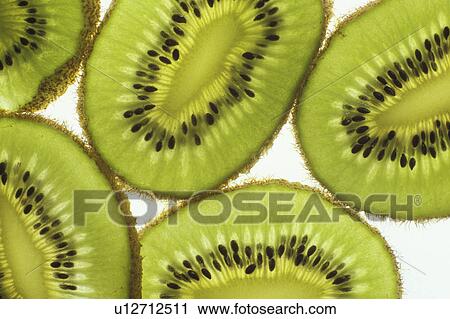 Stock Image - alexander, cellar, blauphoton, beauty, actinidia. Fotosearch