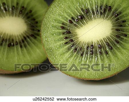 Stock Image - alfred, CLOSE, beauty, Austria, actinidia. Fotosearch