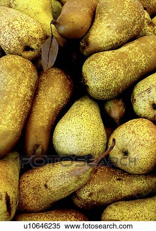 Stock Photography - background, brown, CLOSE, close-up, drink, eat, eating. Fotosearch
