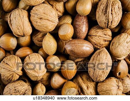 Stock Image - backgrounds, aliment, background, almonds, almond, alfred. Fotosearch