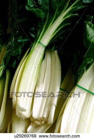 Stock Photo - beta, chard, CLOSE, close-up, drink, eat. Fotosearch