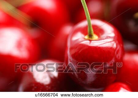 burkhard, cherry, CLOSE, close-up, drink View Large Photo Image Picture - burkhard, cherry, CLOSE, close-up, drink. Fotosearch