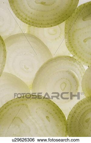Stock Photograph - cebolla, cipolla, rings, nutritional, oignon, BLT, across. Fotosearch