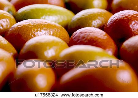 Picture - CLOSE, close-up, alfred. Fotosearch